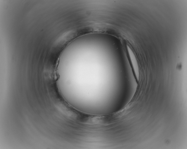 X0000090450078200707272224