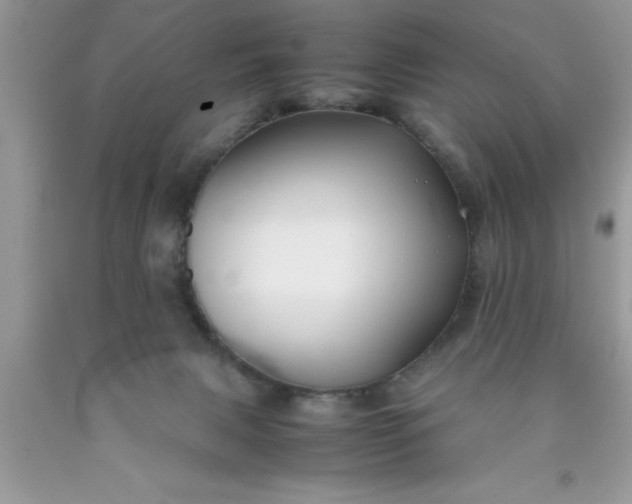 X0000090450079200707272224