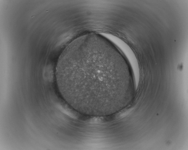 X0000090450080200707272224