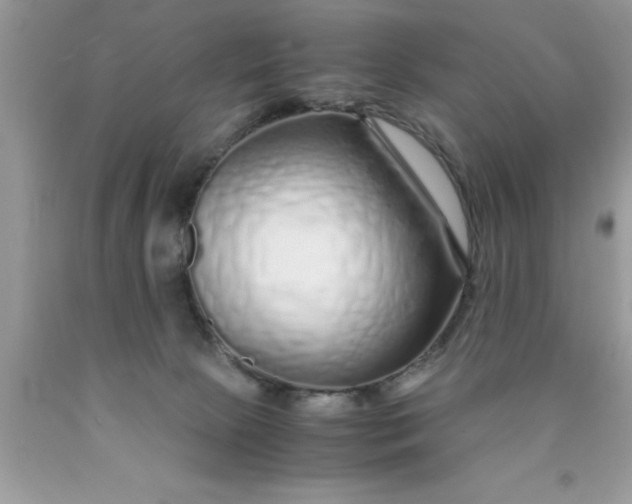 X0000090450081200707272224