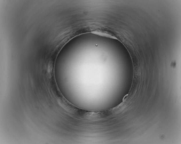 X0000090450082200707272224