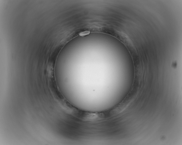 X0000090450083200707272224