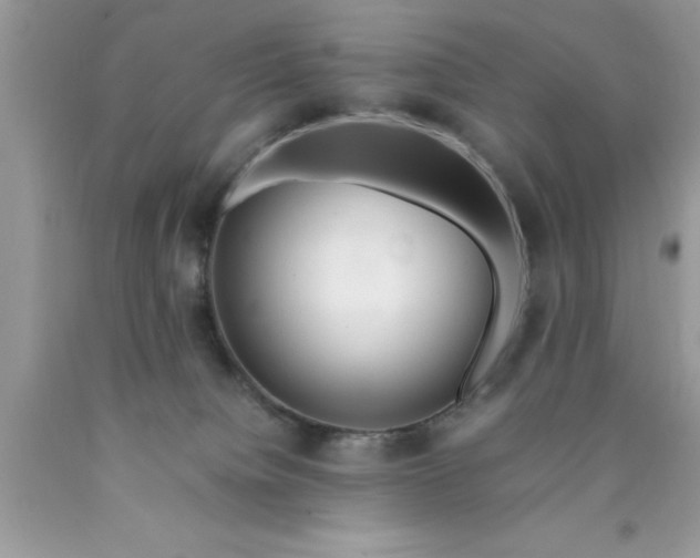 X0000090450084200707272224