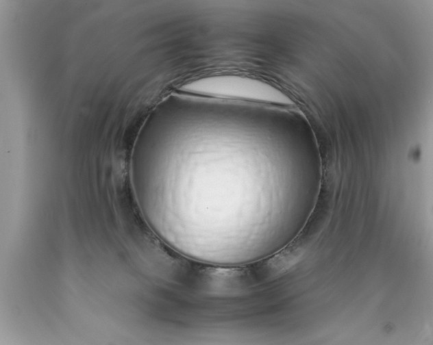 X0000090450085200707272224