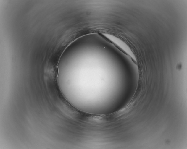 X0000090450086200707272225