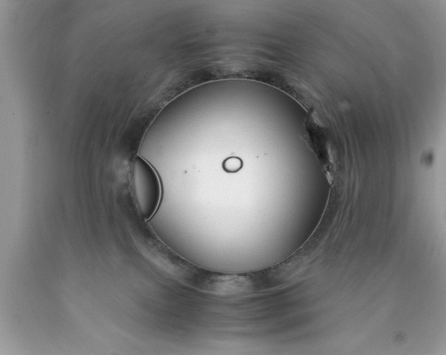 X0000090450087200707272225