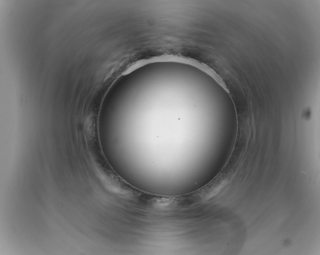 X0000090450088200707272225