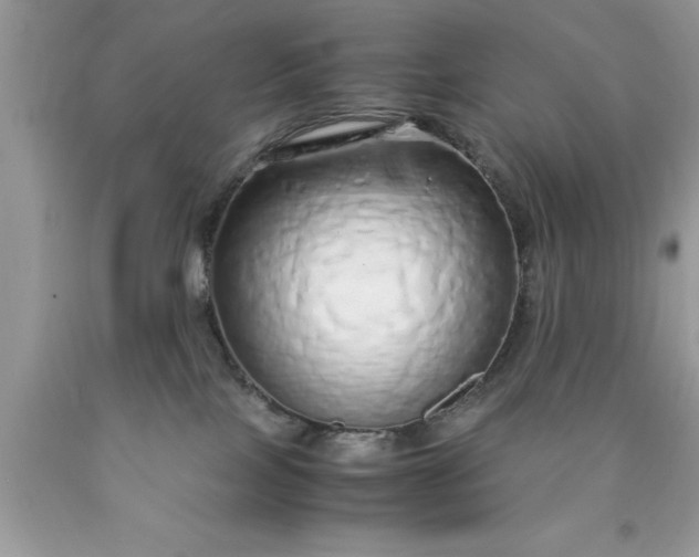 X0000090450089200707272225