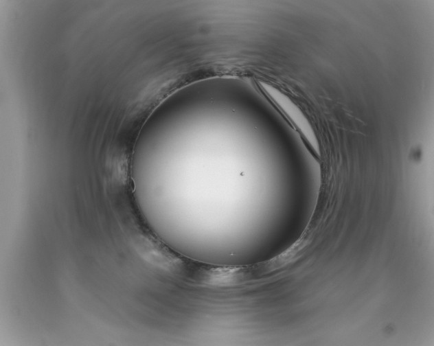 X0000090450090200707272225