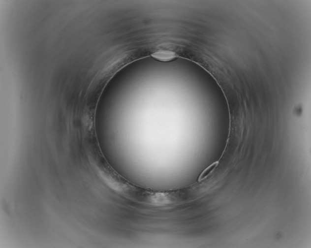 X0000090450091200707272225