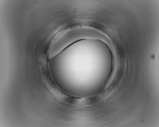 X0000090450092200707272225