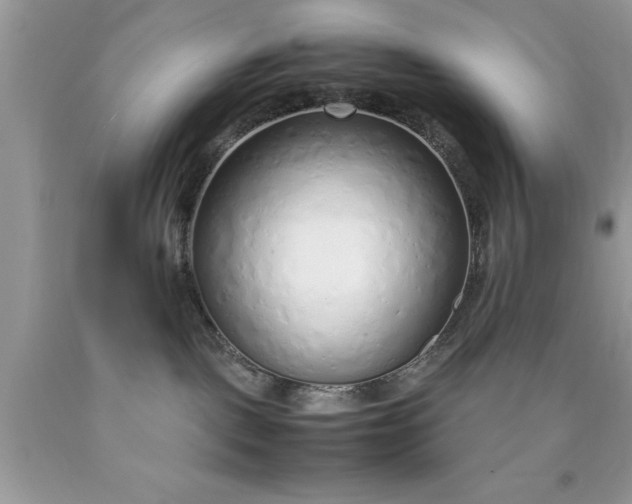 X0000090450093200707272225