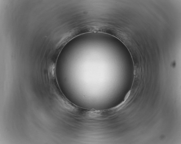 X0000090450094200707272225