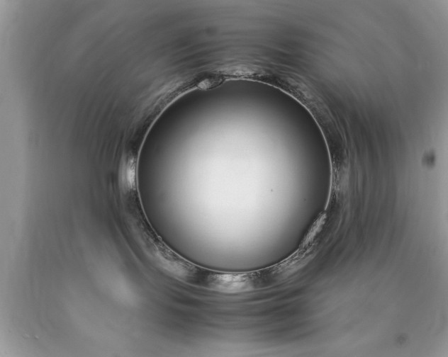 X0000090450095200707272225