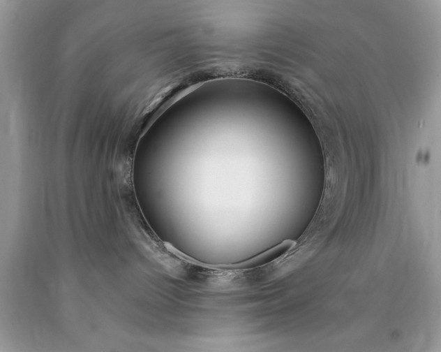 X0000090450096200707272225