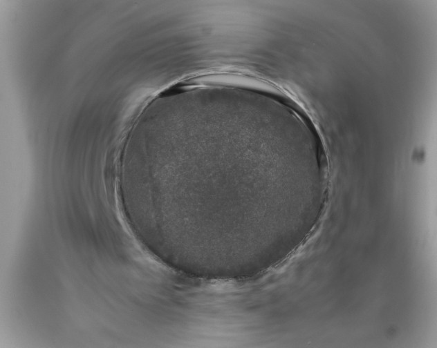 X0000090450097200707272224