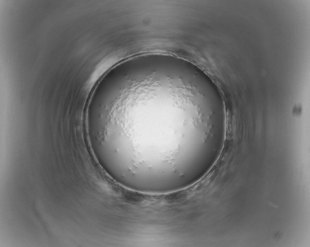 X0000090450099200707272224