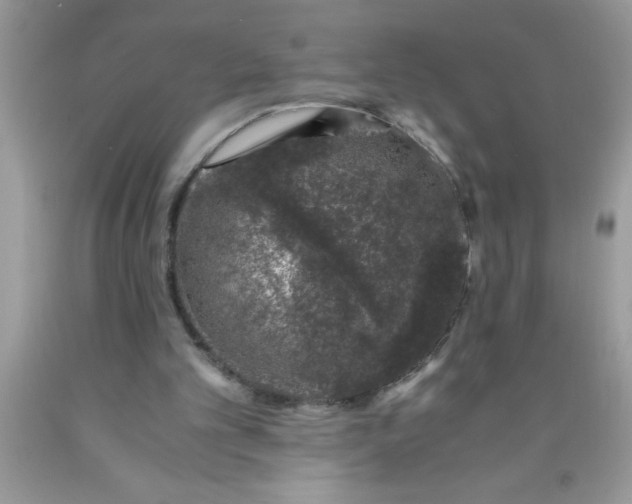 X0000090450101200707272224