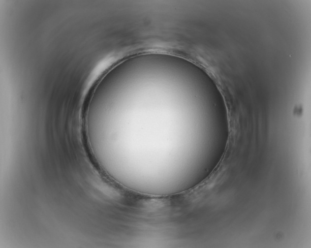 X0000090450102200707272224