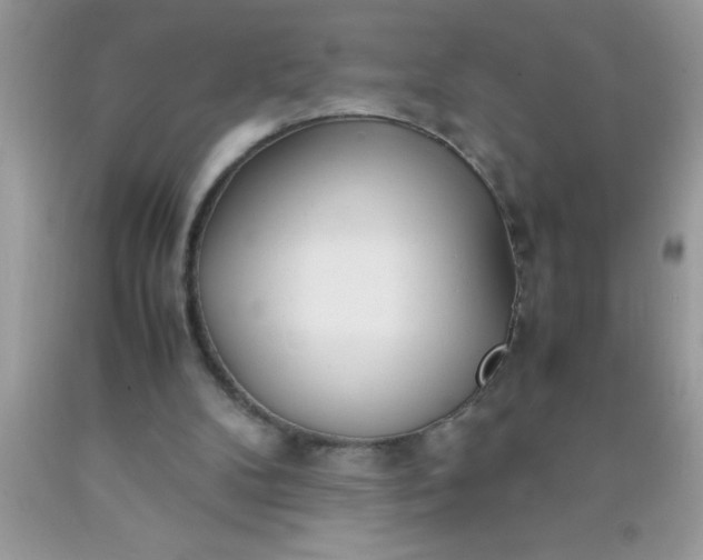 X0000090450104200707272224