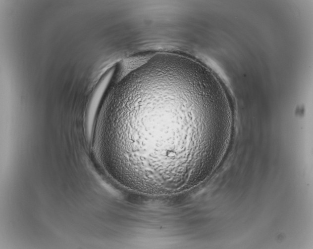 X0000090450105200707272224