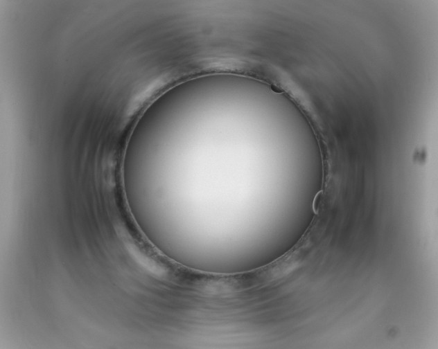 X0000090450106200707272224