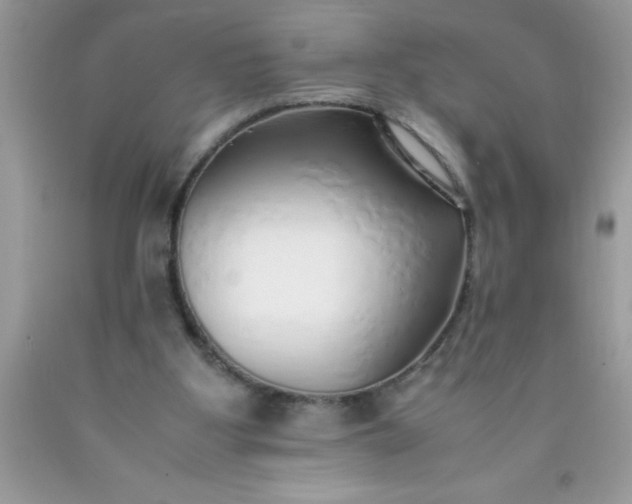 X0000090450107200707272224