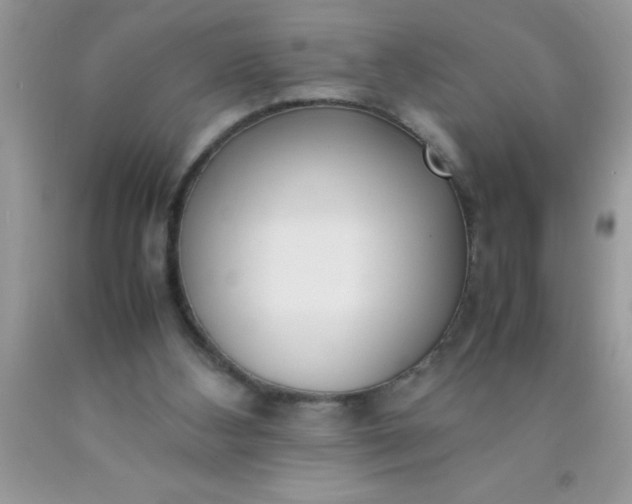 X0000090450108200707272224