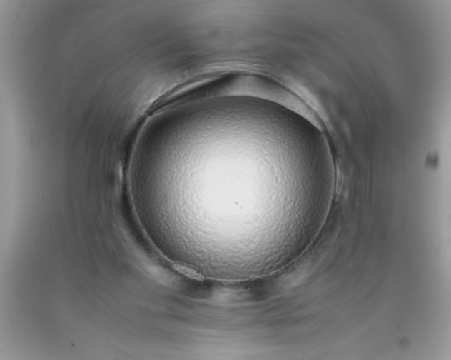 X0000090450109200707272224