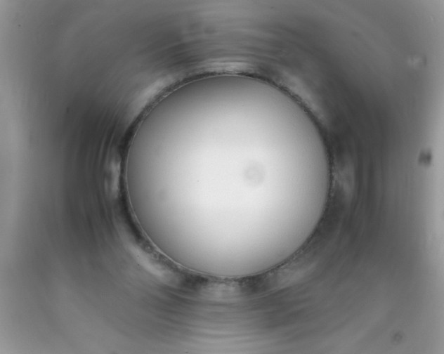 X0000090450110200707272224