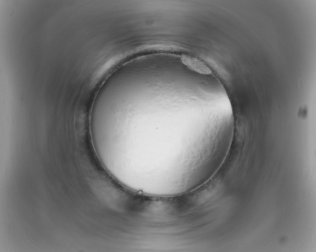 X0000090450111200707272224