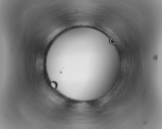 X0000090450112200707272224