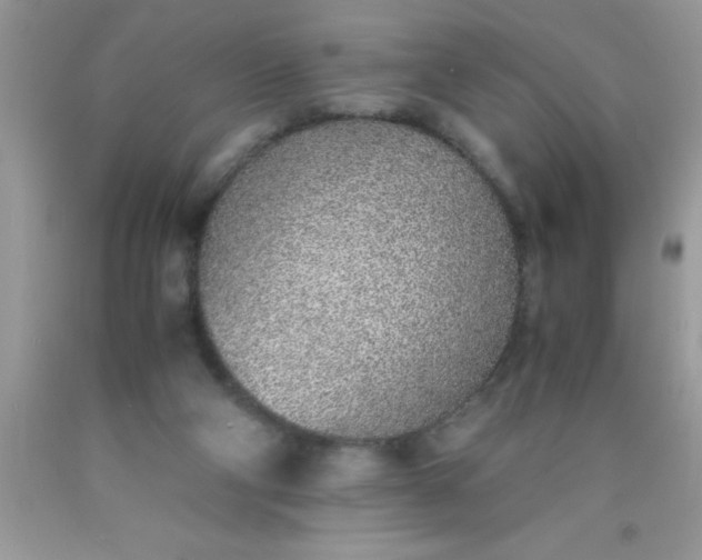 X0000090450114200707272224