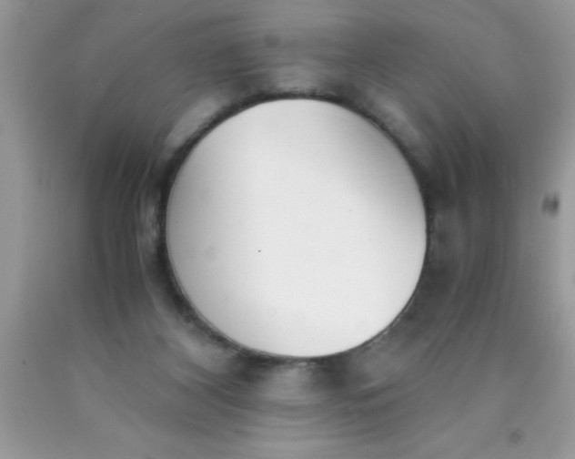 X0000090450116200707272224