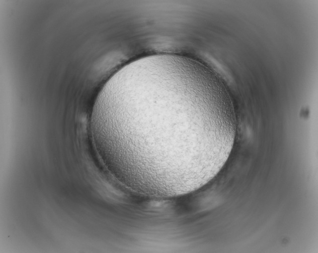 X0000090450117200707272224