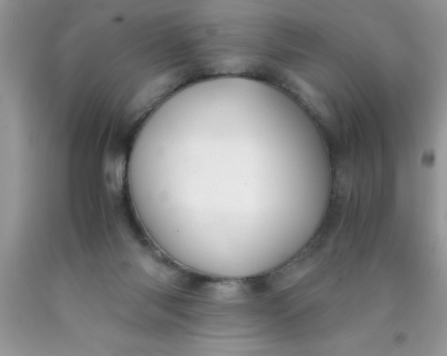 X0000090450118200707272224