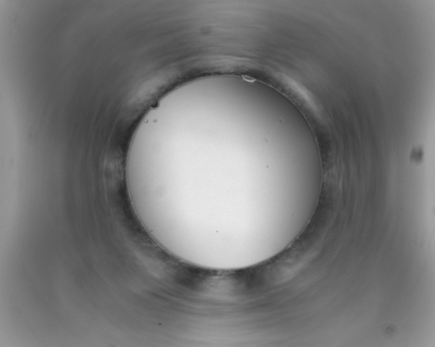 X0000090450119200707272224