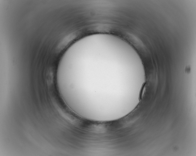 X0000090450120200707272224