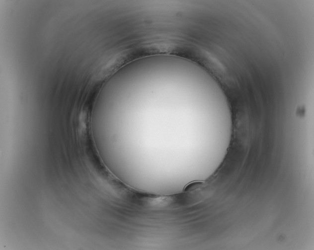 X0000090450122200707272224