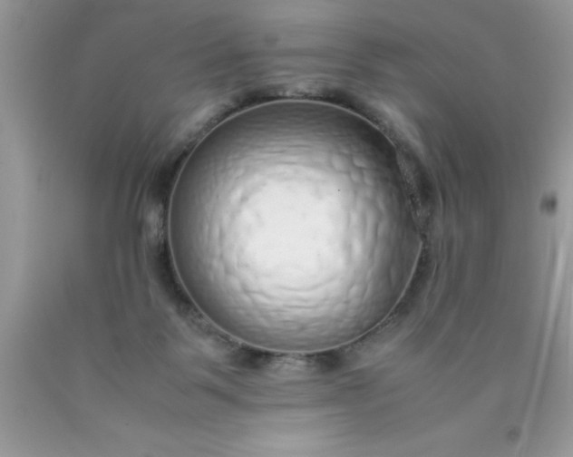 X0000090450123200707272224