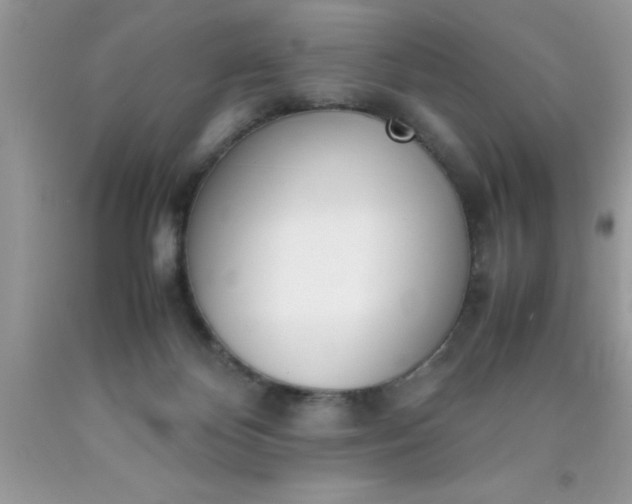 X0000090450124200707272224