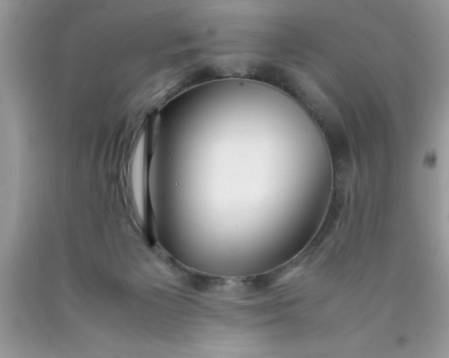 X0000090450125200707272224