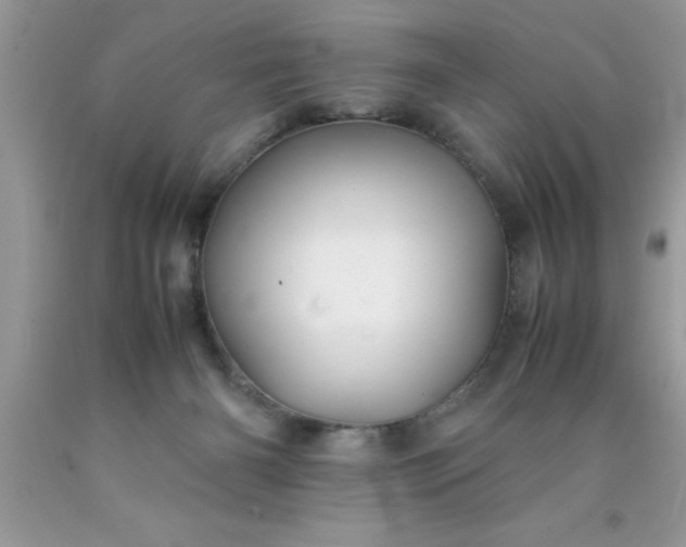 X0000090450126200707272224