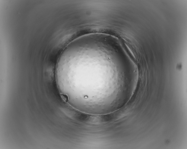 X0000090450127200707272224