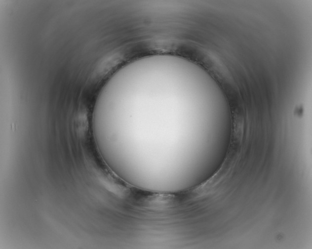 X0000090450128200707272224