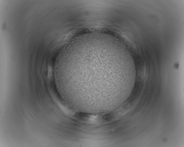 X0000090450130200707272224