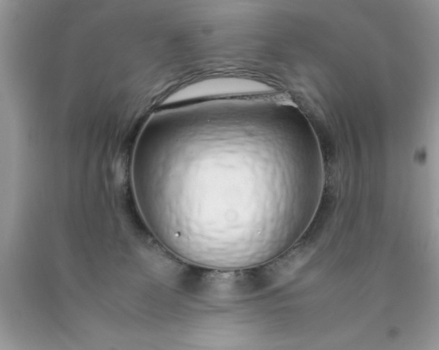 X0000090450131200707272224