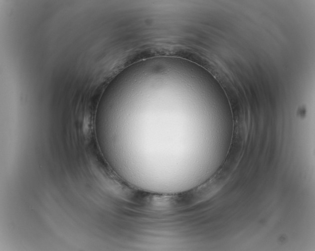 X0000090450134200707272224