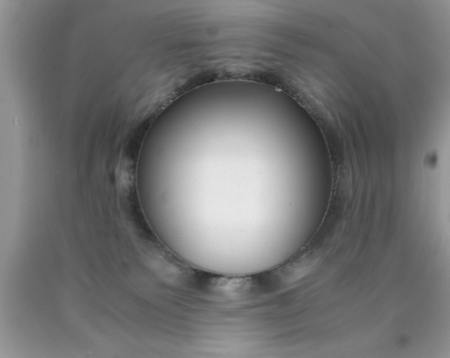 X0000090450135200707272224