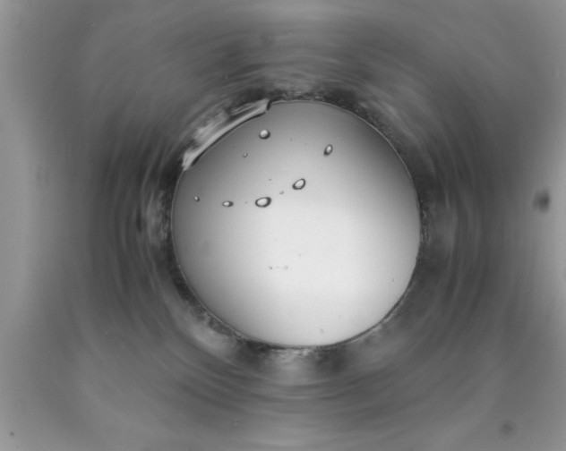 X0000090450136200707272224